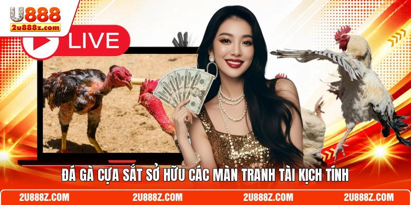 Đá gà cựa sắt sở hữu các màn tranh tài kịch tính