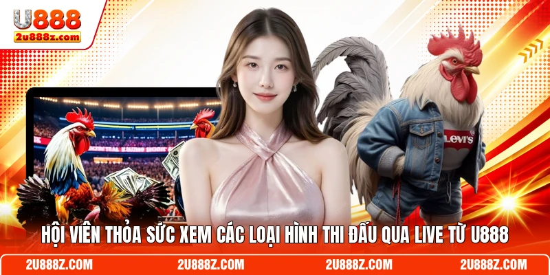 Hội viên thỏa sức xem các loại hình thi đấu qua live từ U888