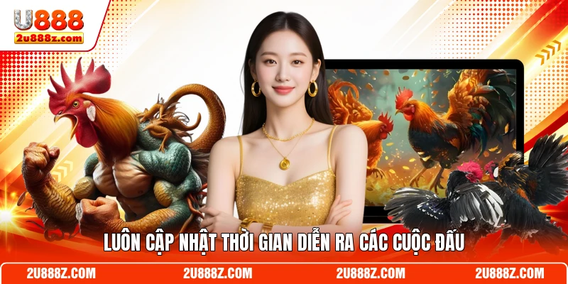 Luôn cập nhật thời gian diễn ra các cuộc đấu